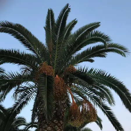 Marinis Boutique * Nea Iraklitsa