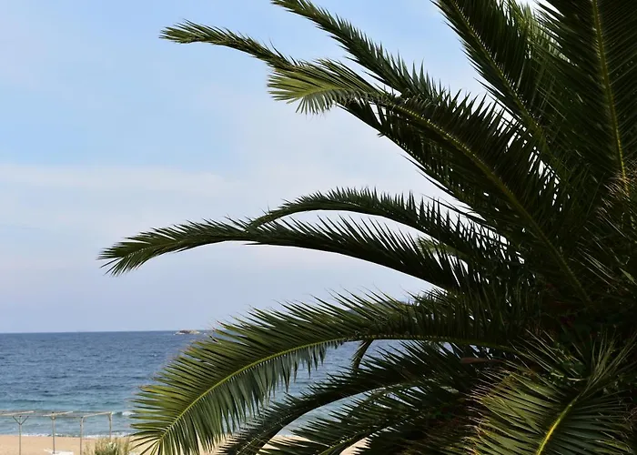 Marinis Boutique Otel